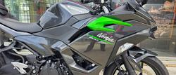 2025 Kawasaki NINJA 500 GREY