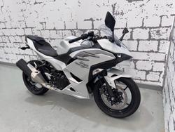 2025 Kawasaki Ninja 500 (EX500G) Ninja White