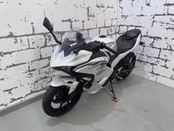 2025 Kawasaki Ninja 500 (EX500G) Ninja White