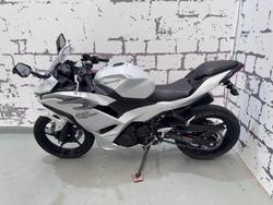 2025 Kawasaki Ninja 500 (EX500G) Ninja White