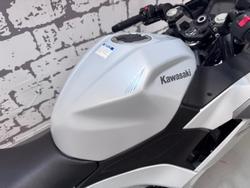 2025 Kawasaki Ninja 500 (EX500G) Ninja White