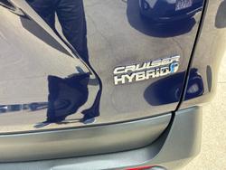 2020 Toyota RAV4 Cruiser