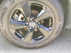 2020 Toyota RAV4 Cruiser