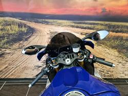 2016 Yamaha YZF-R1 BLUE