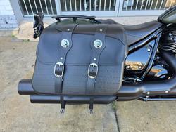 2023 INDIAN CHIEF DARK HORSE Green