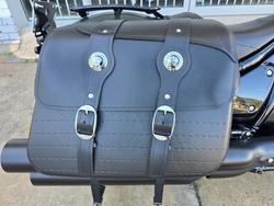 2023 INDIAN CHIEF DARK HORSE Green