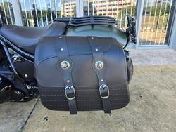 2023 INDIAN CHIEF DARK HORSE Green