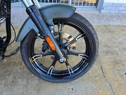 2023 INDIAN CHIEF DARK HORSE Green