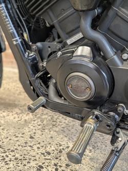 2019 Harley-Davidson Street 500 (XG500) Street Black