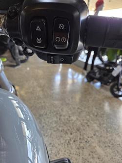 2025 Harley-Davidson Breakout 117 (FXBR)