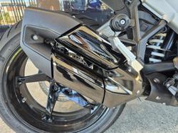 2025 BMW R 1300 R R 1300 Blue