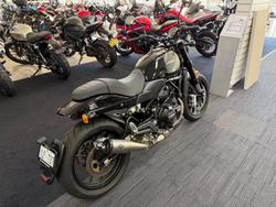 2024 Harley-Davidson X 500 X Black