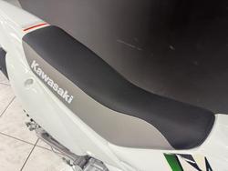 2026 Kawasaki KLX110DTFNN White