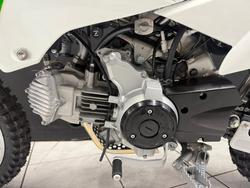 2026 Kawasaki KLX110DTFNN White