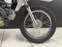 2026 Kawasaki KLX110DTFNN White