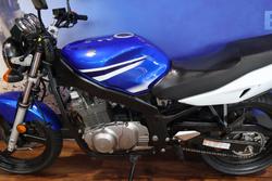 2008 Suzuki GS500 Blue