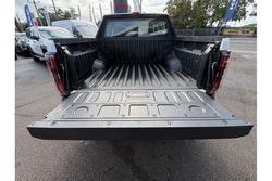 2025 LDV Terron 9 Origin