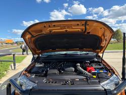 2019 Ford Ranger Wildtrak