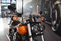 2014 HARLEY-DAVIDSON FXDF FAT BOB
