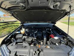 2025 Ford Ranger Wildtrak