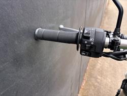 2025 Kawasaki KLX250 GREEN