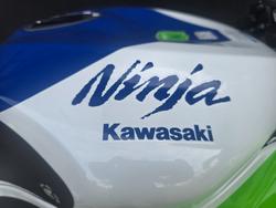 2024 Kawasaki NINJA ZX-6R 40TH ANNIVERSARY GREEN