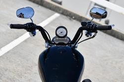 2010 Harley-Davidson Sportster 883 Low (XL883L)