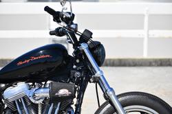 2010 Harley-Davidson Sportster 883 Low (XL883L)