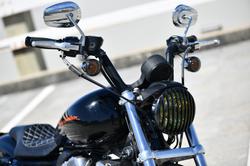 2010 Harley-Davidson Sportster 883 Low (XL883L)