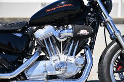 2010 Harley-Davidson Sportster 883 Low (XL883L)