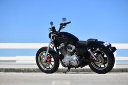 2010 Harley-Davidson Sportster 883 Low (XL883L)