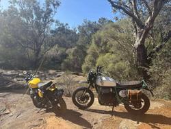 2025 Royal Enfield Bear 650