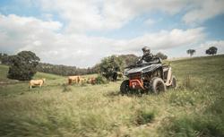 2025 Segway Snarler AT6L EPS