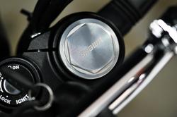 2025 Royal Enfield Bear 650
