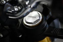 2025 Royal Enfield Bear 650