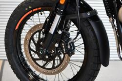 2025 Royal Enfield Bear 650