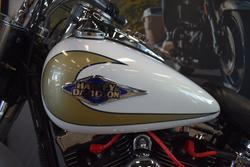 2009 HARLEY-DAVIDSON FLSTC HERITAGE SOFTAIL CLASSIC