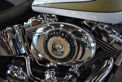 2009 HARLEY-DAVIDSON FLSTC HERITAGE SOFTAIL CLASSIC