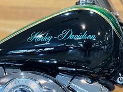 2010 HARLEY-DAVIDSON FLSTC HERITAGE SOFTAIL CLASSIC