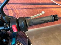 2026 Triumph Tiger Sport 660 Tiger Blue