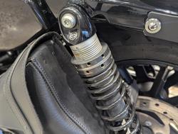 2019 Harley-Davidson Iron 883 (XL883N) Sportster Grey