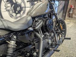 2019 Harley-Davidson Iron 883 (XL883N) Sportster Grey