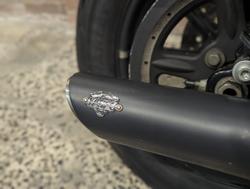 2019 Harley-Davidson Iron 883 (XL883N) Sportster Grey