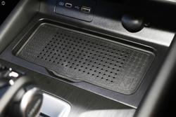 2025 GWM Cannon Premium