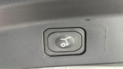 2025 Ford Everest Trend