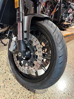 2024 Harley-Davidson X 500 X Black