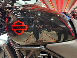 2024 Harley-Davidson X 500 X Black