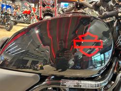 2024 Harley-Davidson X 500 X Black