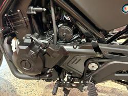 2024 Harley-Davidson X 500 X Black