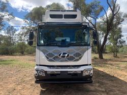 2025 Hyundai Pavise D115 Freezer Pantech White